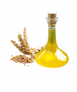 EXTRATO LEITE DE TRIGO - 1KG