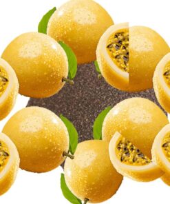 MICROESFERAS SEMENTE DE MARACUJÁ - 100g