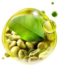 ÓLEO DE CAFÉ VERDE - 500ml