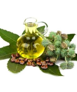 ÓLEO DE RÍCINO/MAMONA - 1L