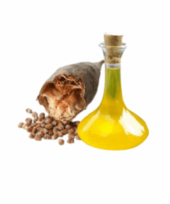 EXTRATO DE BAOBÁ - 1KG