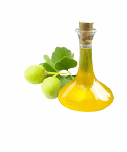 EXTRATO DE GINKO BILOBA - 1KG