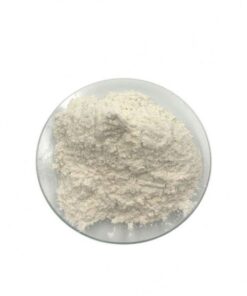 GOMA XANTANA 200 - 1KG