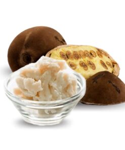 MANTEIGA DE CUPUAÇU - 1KG