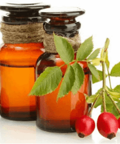 ÓLEO DE ROSA MOSQUETA VEGETAL  - 500ML