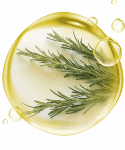 HIDROLATO DE ALECRIM - 1L