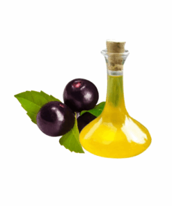 EXTRATO DE AÇAI - 1KG