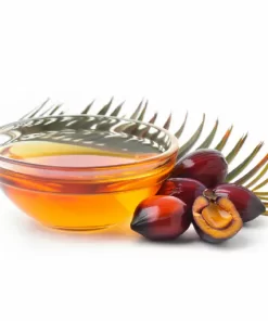 ÓLEO DE OJON VEGETAL  - 1L