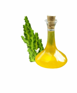 EXTRATO DE SPIRULINA - 1KG