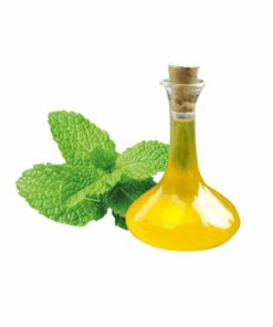 EXTRATO DE MENTA - 1KG